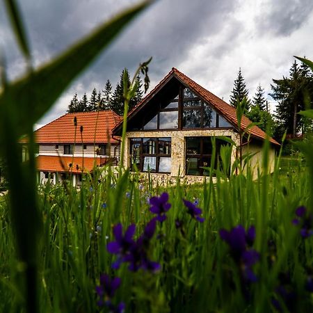 Pensiunea Romconcord Balcesti Zewnętrze zdjęcie