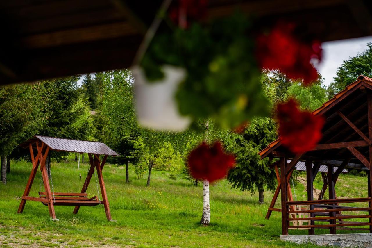 Pensiunea Romconcord Balcesti Zewnętrze zdjęcie